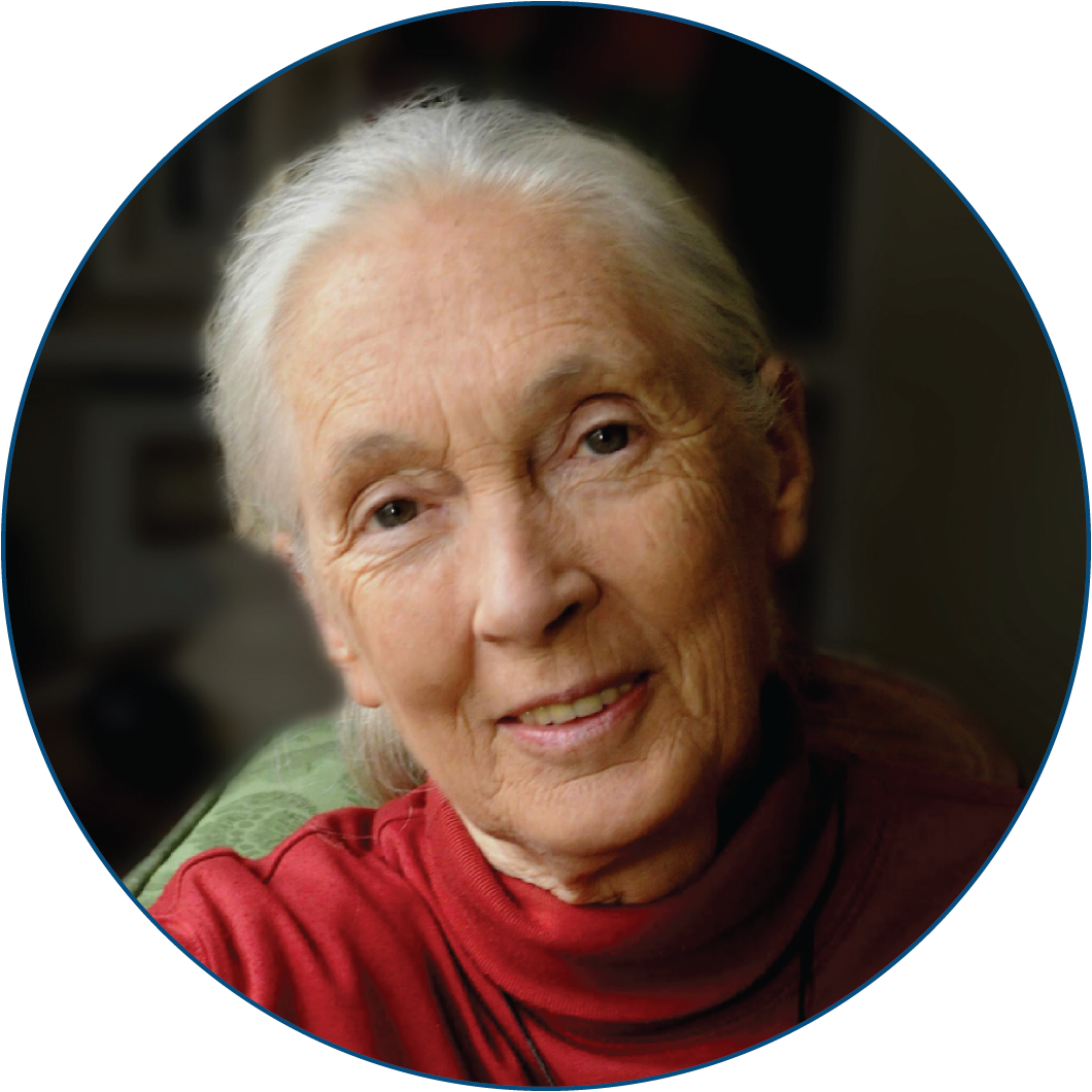 Jane Goodall, PhD, DBE