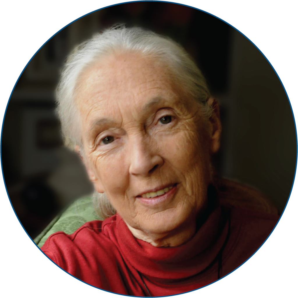 Albums 100+ Pictures pictures of jane goodall when she was young Updated